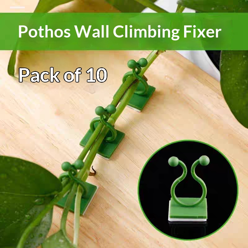 Self‑Adhesive Plant Climbing W - Wall Anchor Plastic recension och pris