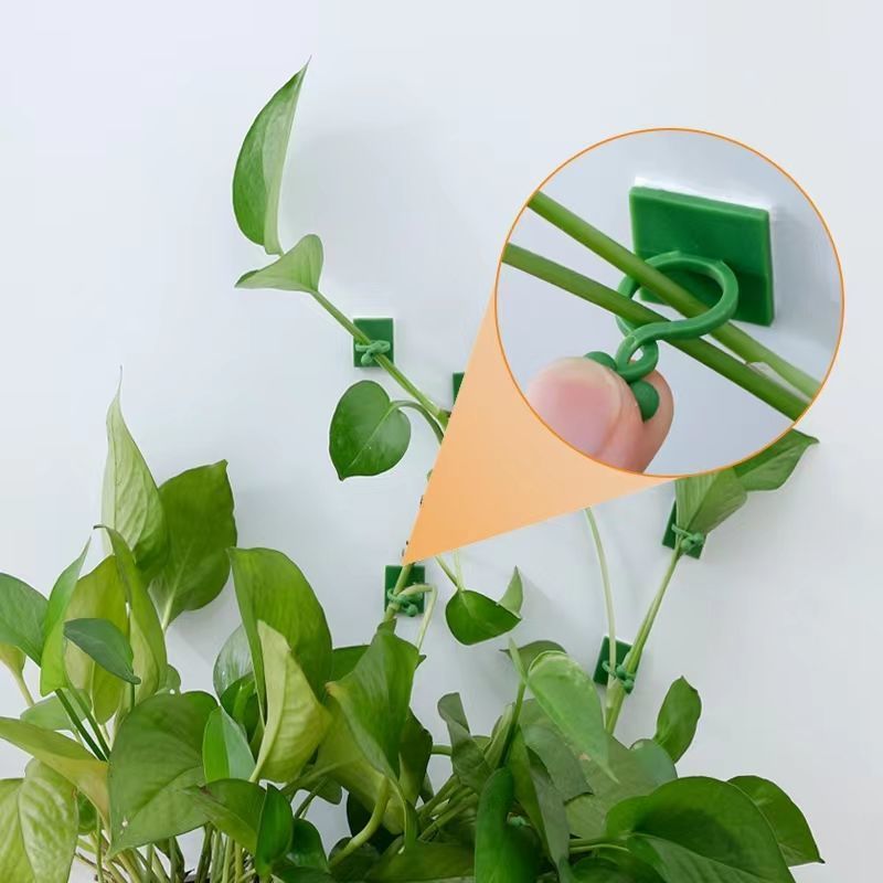 Self‑Adhesive Plant Climbing W - Wall Anchor Plastic recension och pris