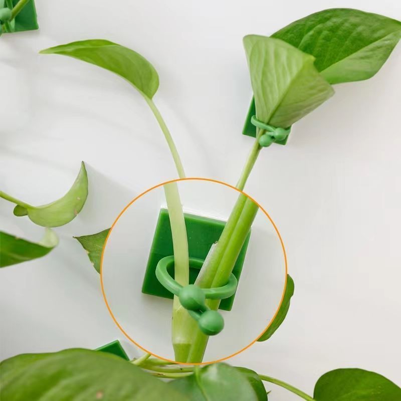 Self‑Adhesive Plant Climbing W - Wall Anchor Plastic recension och pris