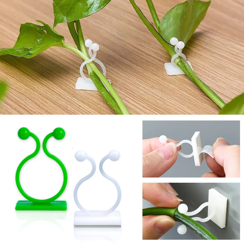 Plant Climbing Wall Self-Adhes - Wall Anchor Plastic recension och pris